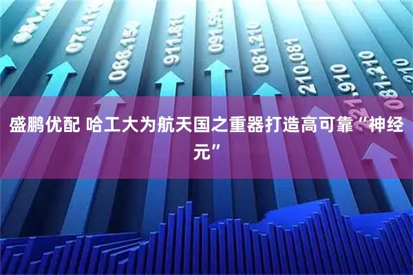 盛鹏优配 哈工大为航天国之重器打造高可靠“神经元”
