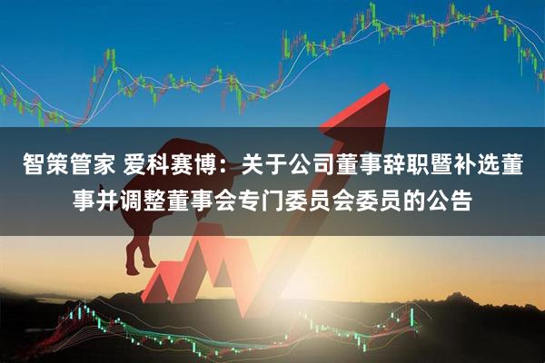 智策管家 爱科赛博：关于公司董事辞职暨补选董事并调整董事会专门委员会委员的公告