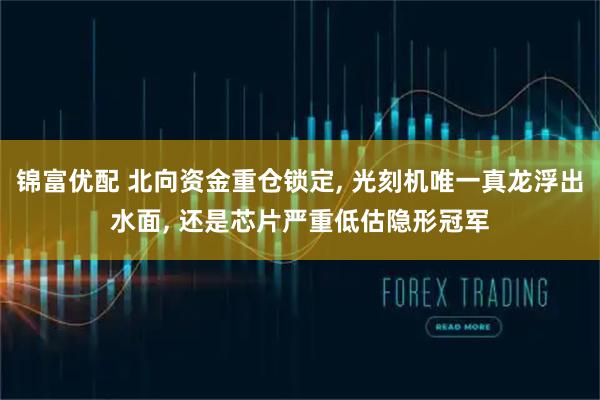 锦富优配 北向资金重仓锁定, 光刻机唯一真龙浮出水面, 还是芯片严重低估隐形冠军