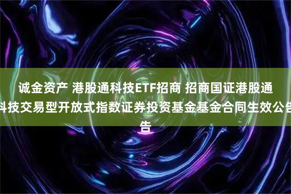 诚金资产 港股通科技ETF招商 招商国证港股通科技交易型开放式指数证券投资基金基金合同生效公告